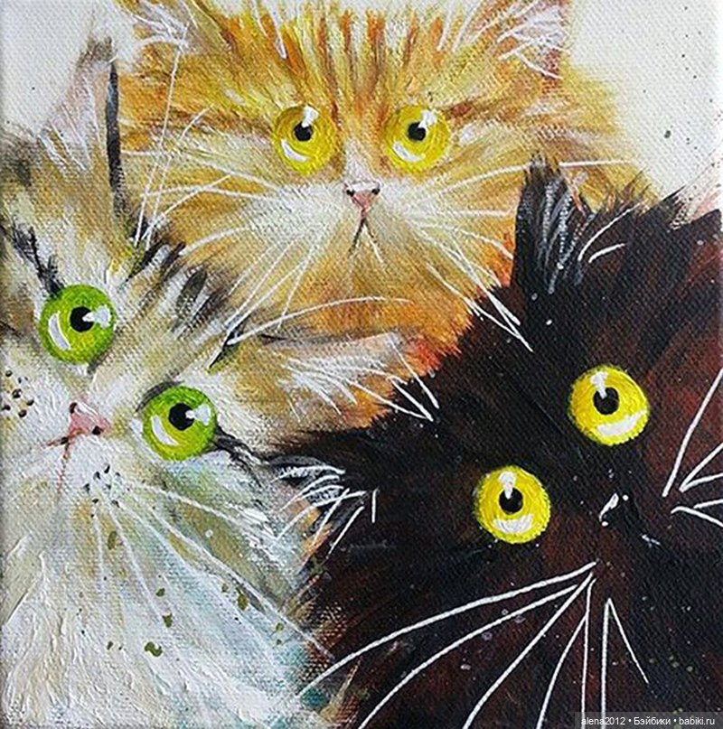 Радужные коты - радостные коты. Kim Haskins