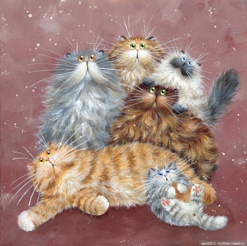 Радужные коты - радостные коты. Kim Haskins