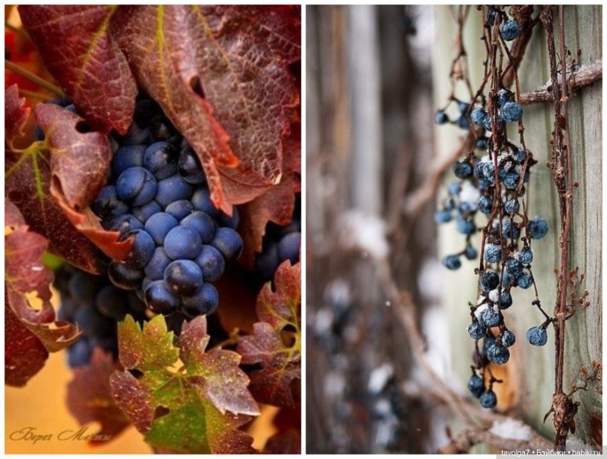 Цвет. Переход Октябрь-Ноябрь