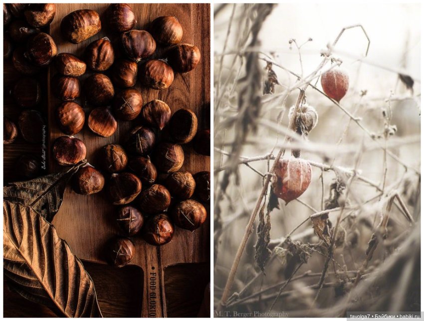 Цвет. Переход Октябрь-Ноябрь