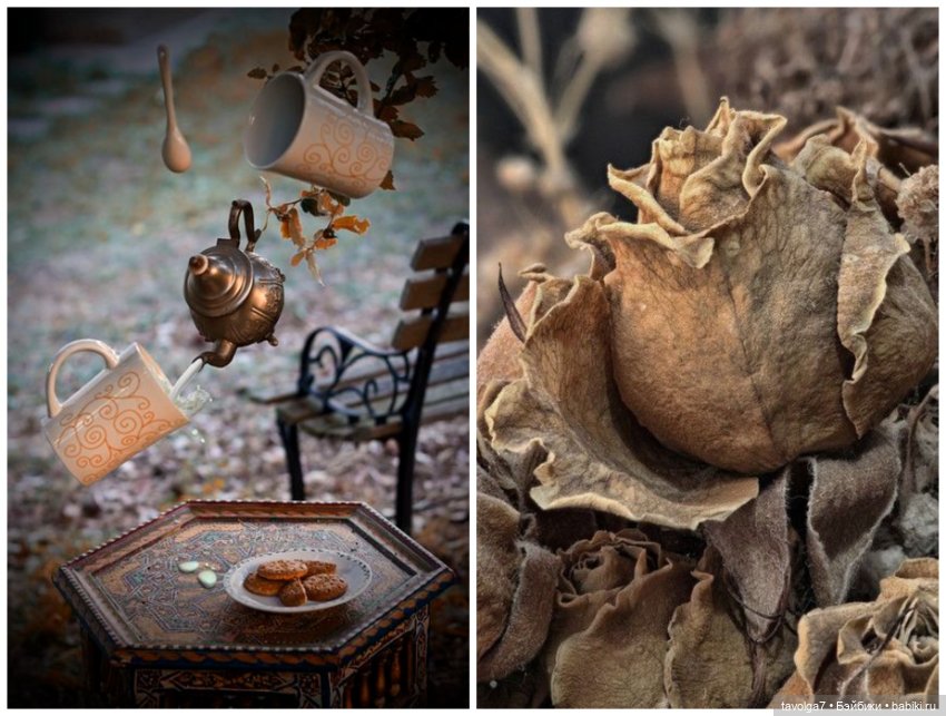 Цвет. Переход Октябрь-Ноябрь