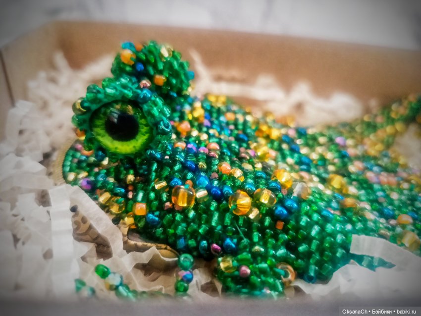 С каждой особью люблю их сильнее (фото 5)