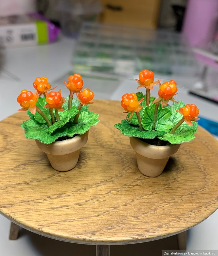 Морошка в миниатюре и история (фото 5)