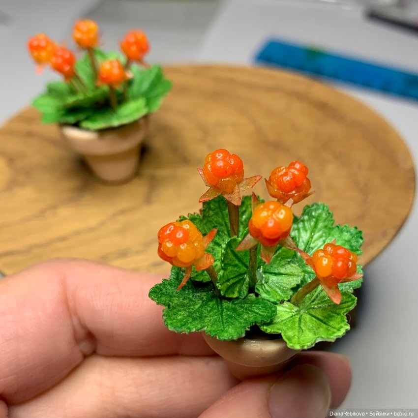 Морошка в миниатюре и история (фото 3)