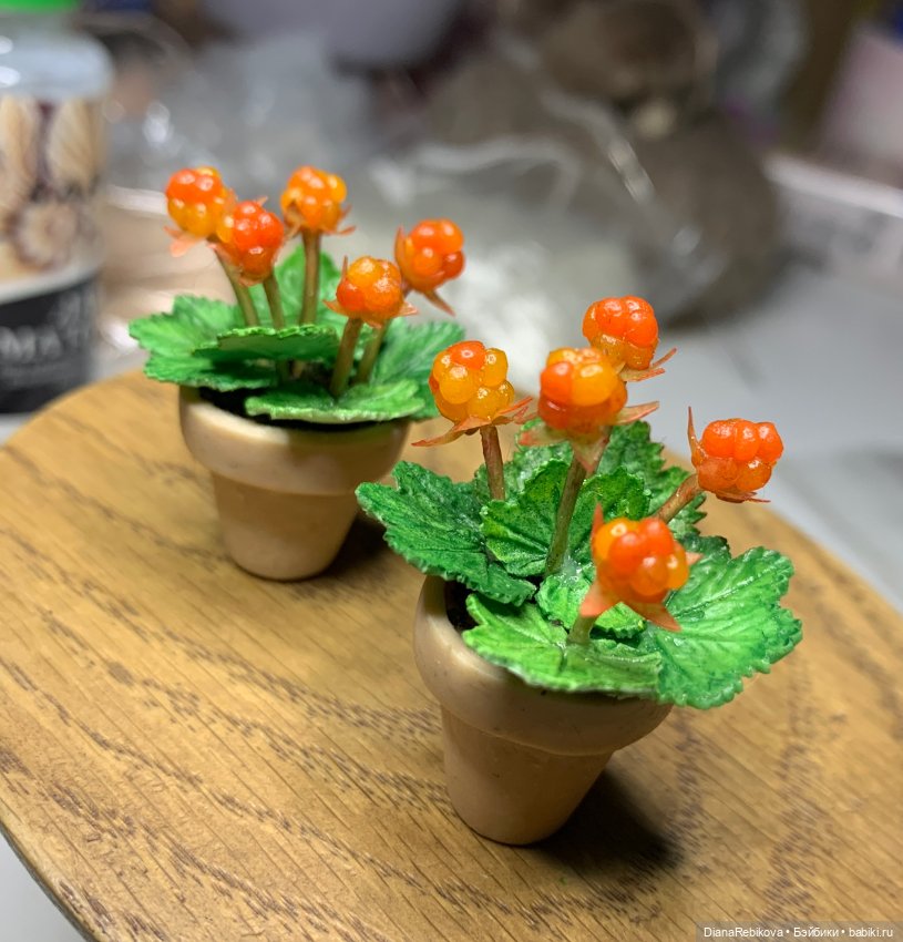 Морошка в миниатюре и история (фото 4)