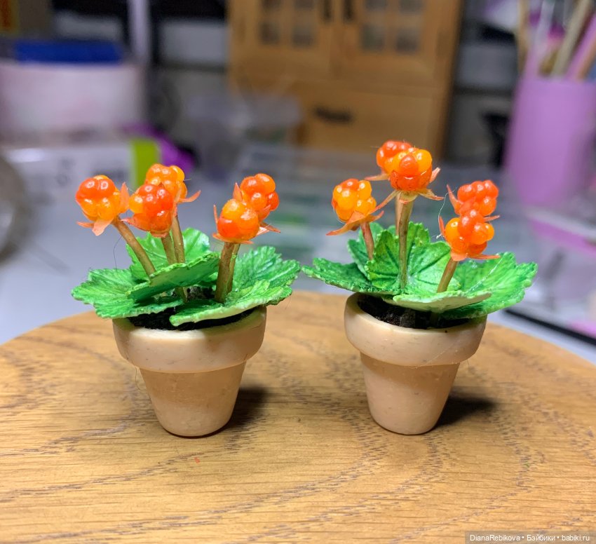 Морошка в миниатюре и история (фото 2)