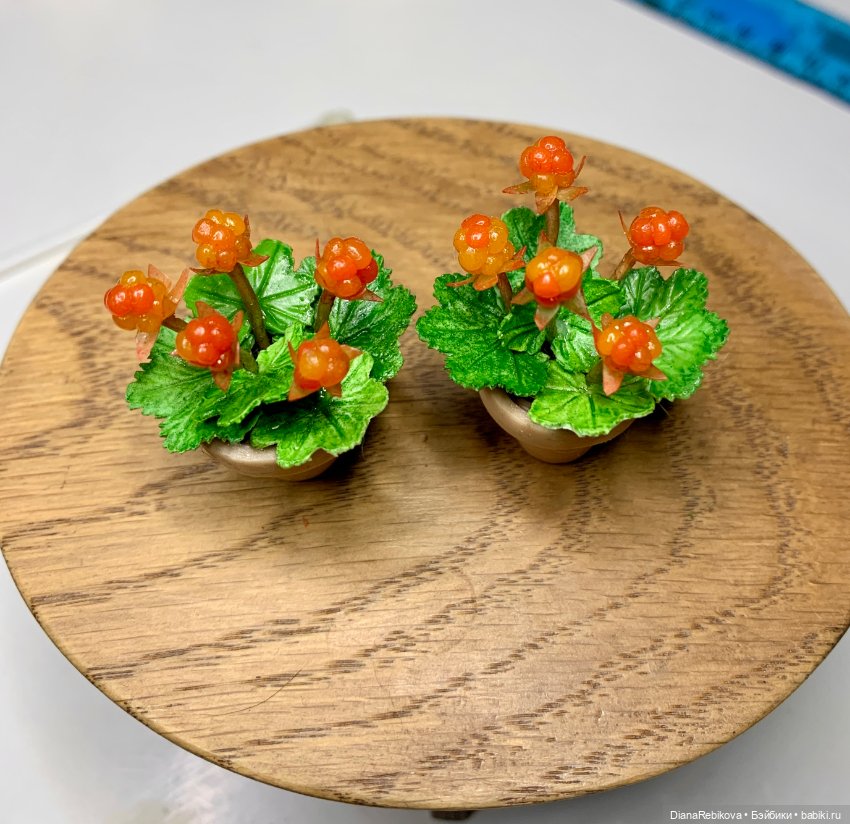 Морошка в миниатюре и история