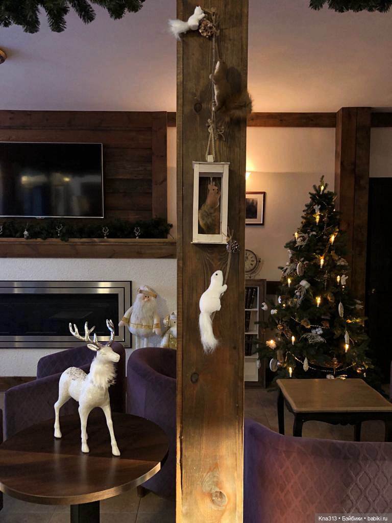 Жуткие холода, сидим дома (фото 10)