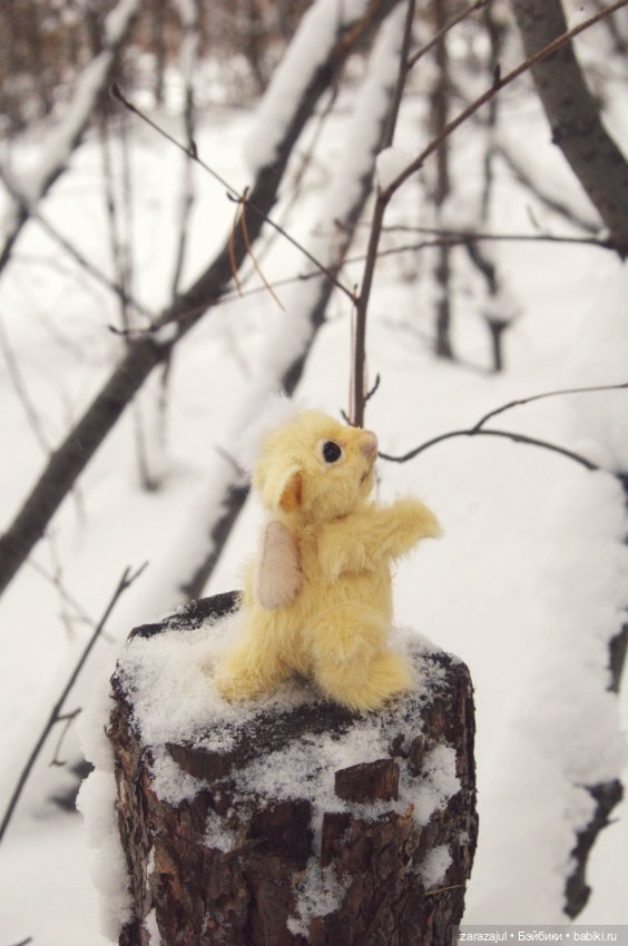 Солнечный храбрый малыш Лучик (фото 5)