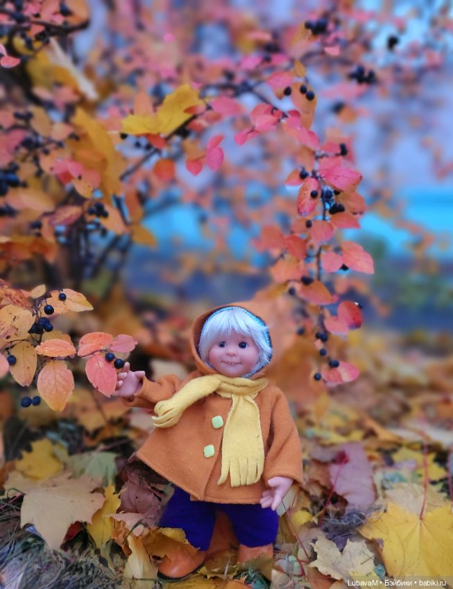 Красота Осени — Домашние коллекции кукол: фото собраний