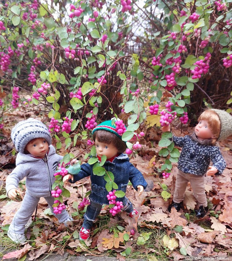 Красота Осени — Домашние коллекции кукол: фото собраний