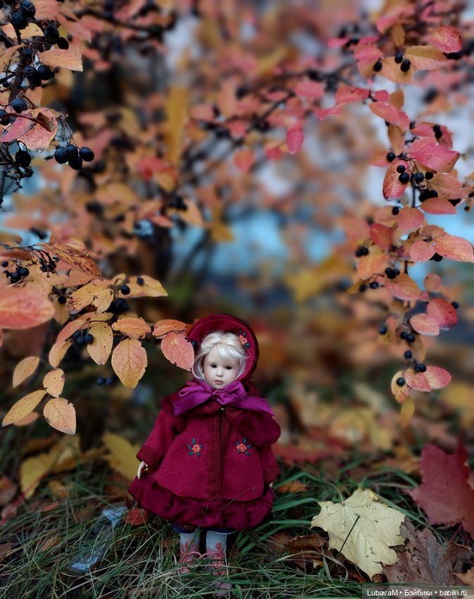 Красота Осени — Домашние коллекции кукол: фото собраний
