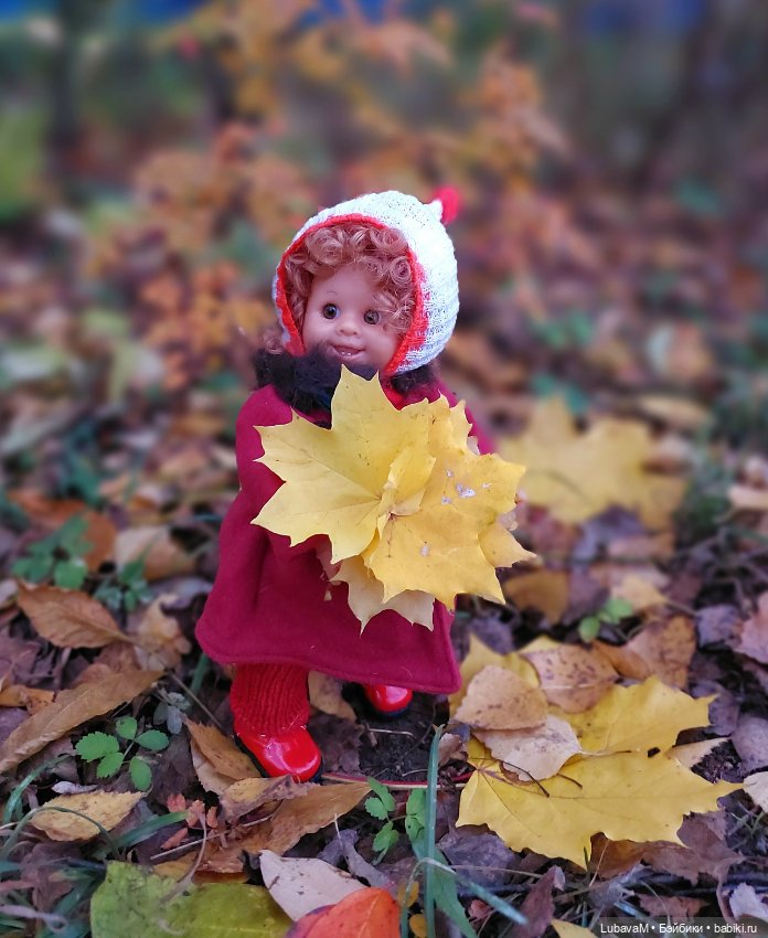 Красота Осени — Домашние коллекции кукол: фото собраний