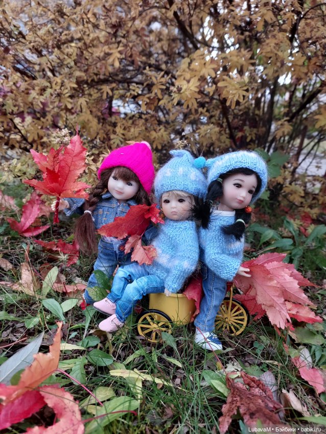 Красоты осени 2 — Коллекции игровых кукол (Playline): фото полок