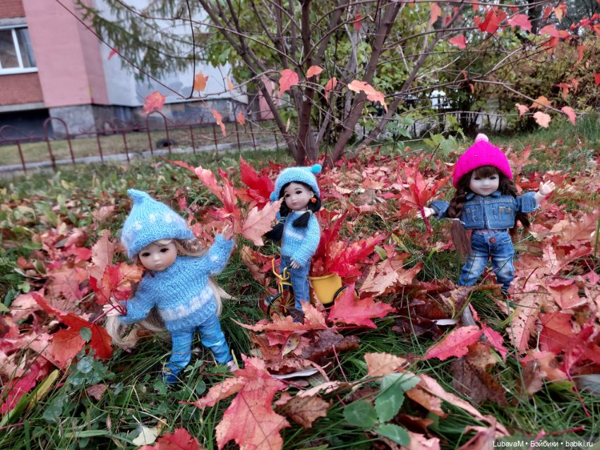Красоты осени 2 — Коллекции игровых кукол (Playline): фото полок