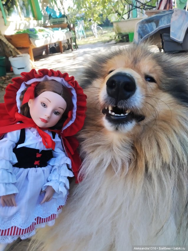 Еще чуть-чуть о Шапочке🌹 — Куклы