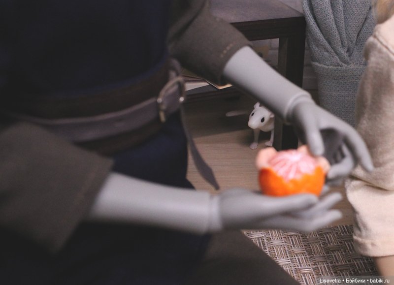 Квен и Мейлир — Фотоистории с куклами BJD (БЖД): сериалы (фото 4)