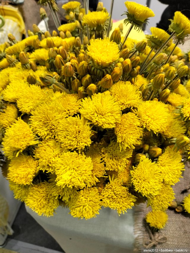 "Ладья" 2023, Москва - Зимняя сказка - Часть 4