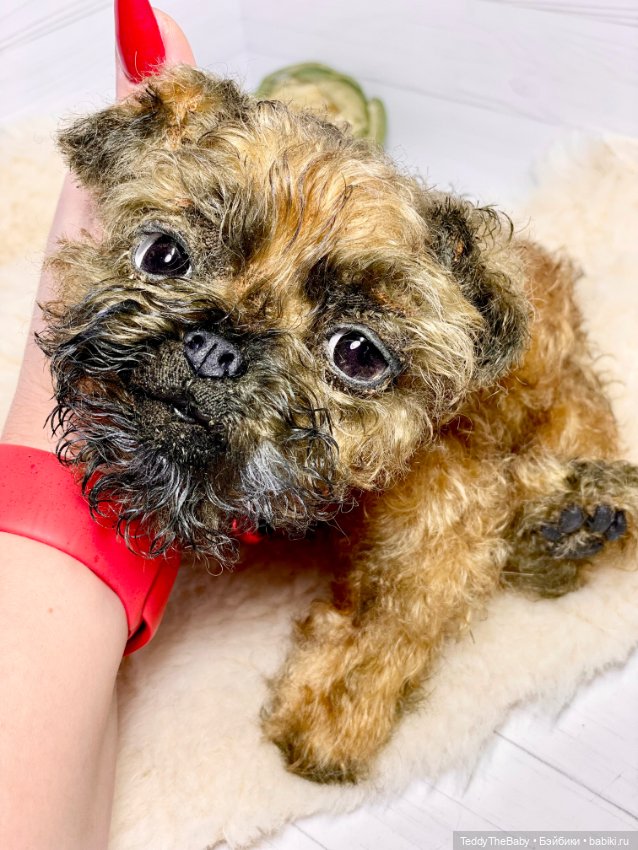 Коржик — Реалистичные игрушки и звери (Натюр): собаки