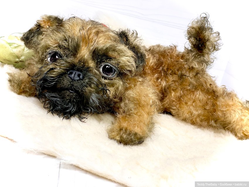 Коржик — Реалистичные игрушки и звери (Натюр): собаки