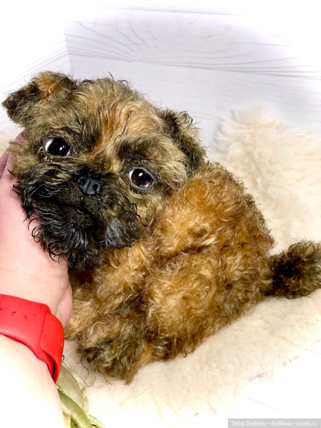 Коржик — Реалистичные игрушки и звери (Натюр): собаки