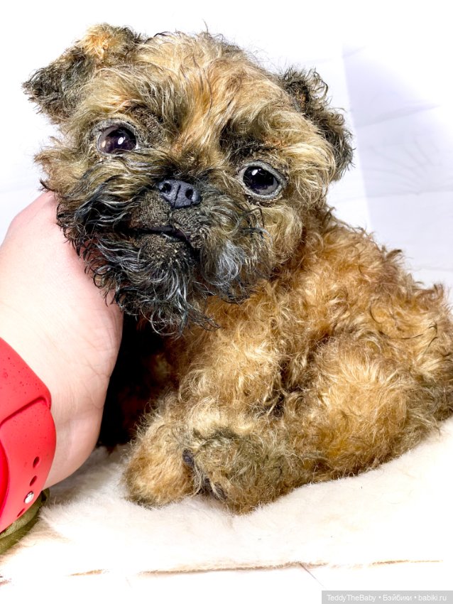 Коржик — Реалистичные игрушки и звери (Натюр): собаки