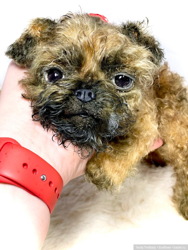 Коржик — Реалистичные игрушки и звери (Натюр): собаки