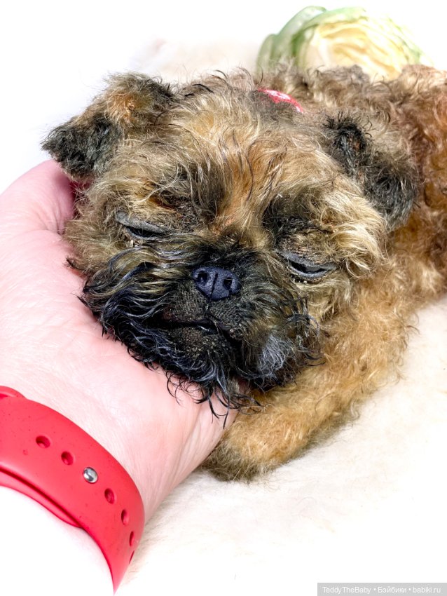 Коржик — Реалистичные игрушки и звери (Натюр): собаки