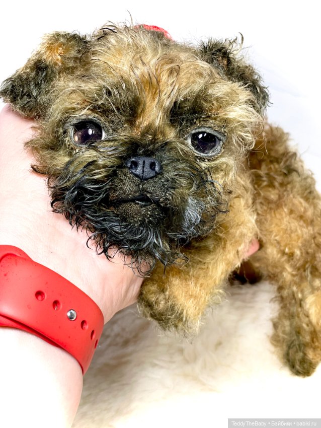 Коржик — Реалистичные игрушки и звери (Натюр): собаки