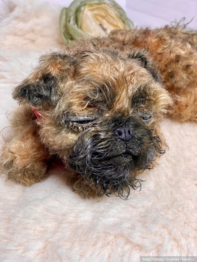 Коржик — Реалистичные игрушки и звери (Натюр): собаки