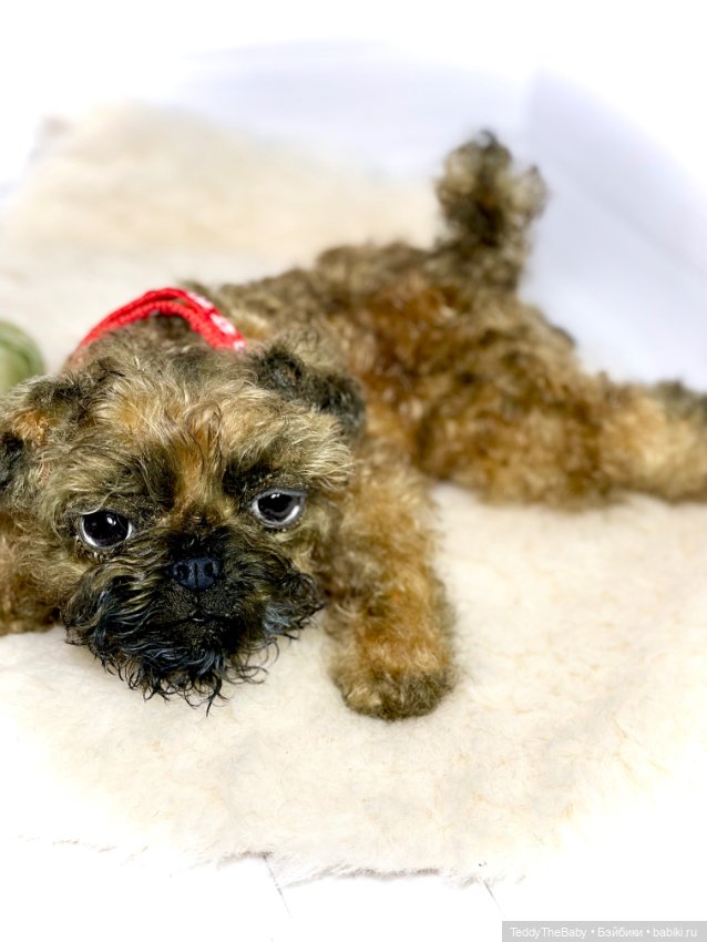 Коржик — Реалистичные игрушки и звери (Натюр): собаки