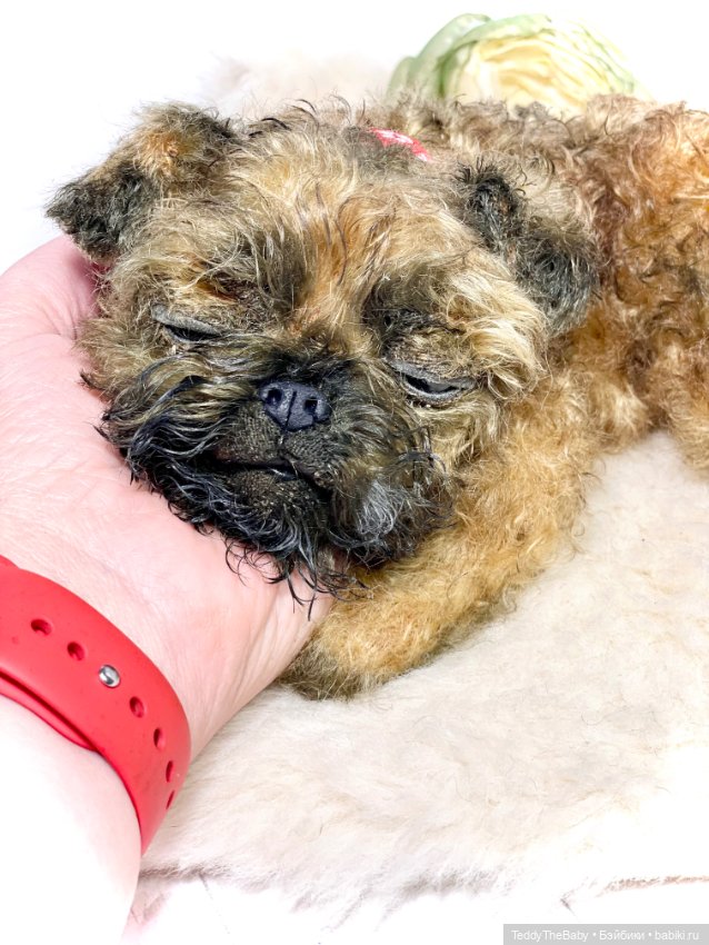 Коржик — Реалистичные игрушки и звери (Натюр): собаки