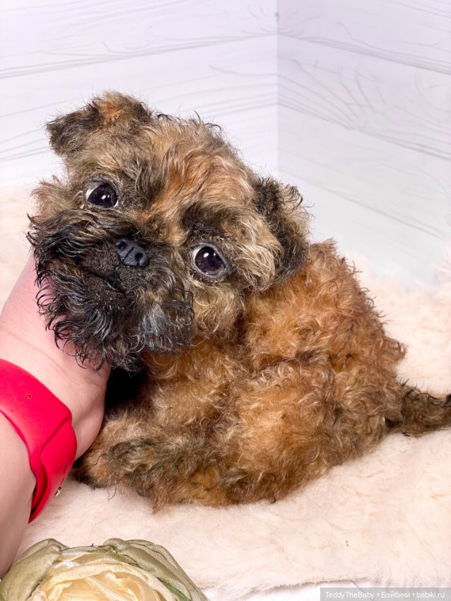 Коржик — Реалистичные игрушки и звери (Натюр): собаки (фото 2)