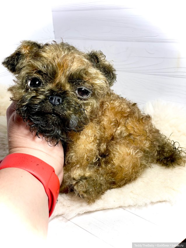 Коржик — Реалистичные игрушки и звери (Натюр): собаки