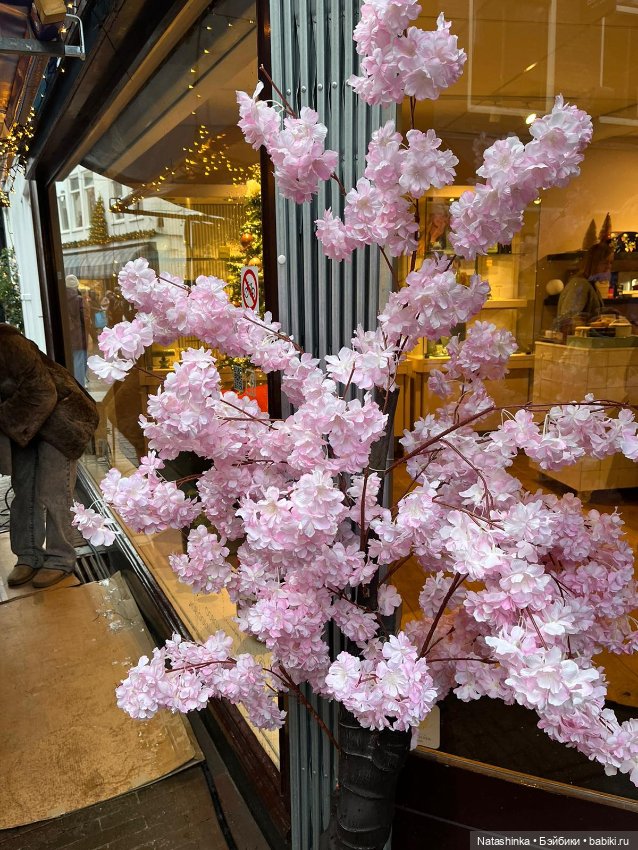 Музыкальная История 74 — Туризм и путешествия: фотоотчеты из поездок