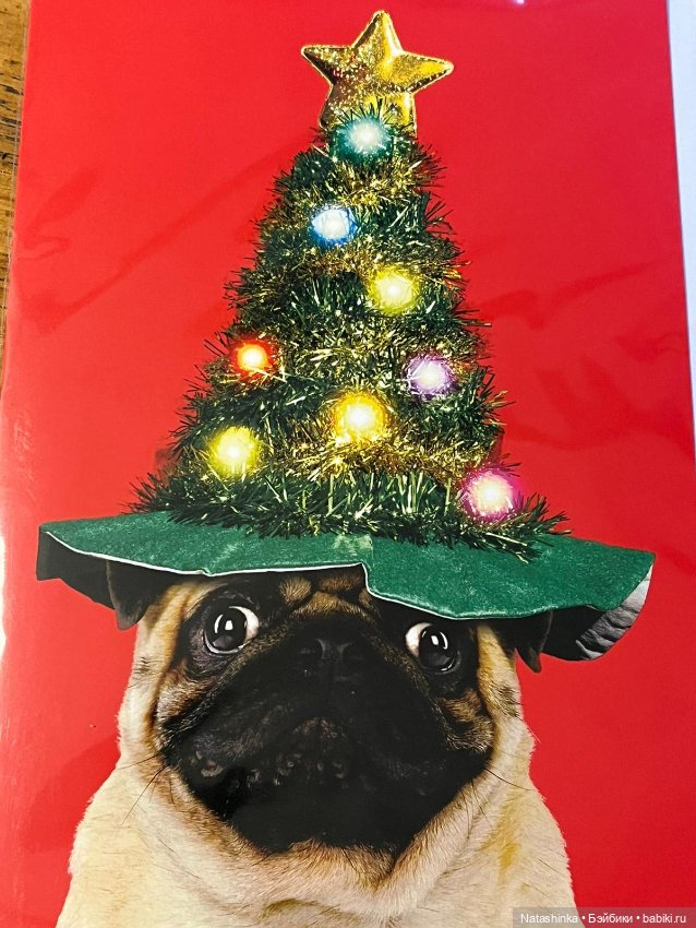 Музыкальная История 74 — Туризм и путешествия: фотоотчеты из поездок