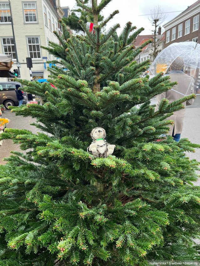 Музыкальная История 74 — Туризм и путешествия: фотоотчеты из поездок (фото 5)