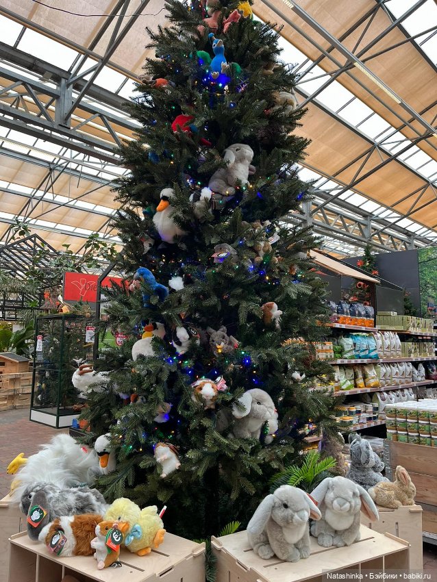 Музыкальная История 74 — Туризм и путешествия: фотоотчеты из поездок