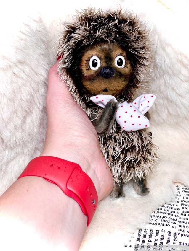 Ёжик в тумане 🦔 — Авторские мишки Тедди и друзья: фото