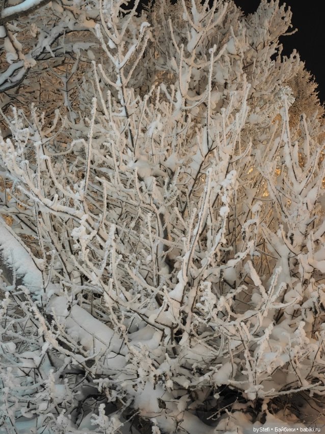 Окунёмся в зиму — Новый год и Рождество: праздничные фото кукол (фото 10)