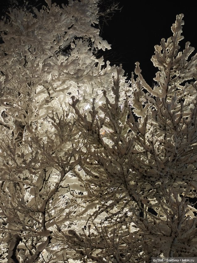 Окунёмся в зиму — Новый год и Рождество: праздничные фото кукол (фото 9)