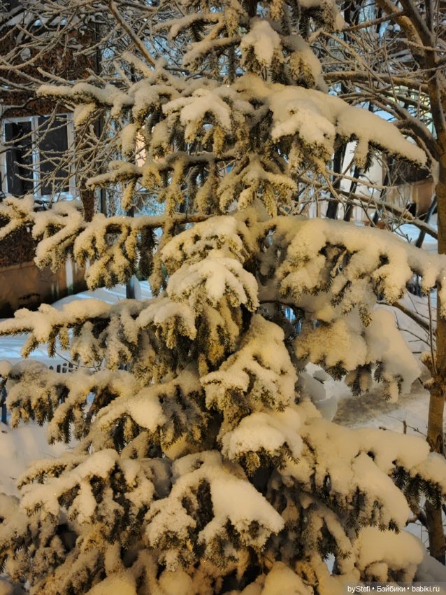 Окунёмся в зиму — Новый год и Рождество: праздничные фото кукол