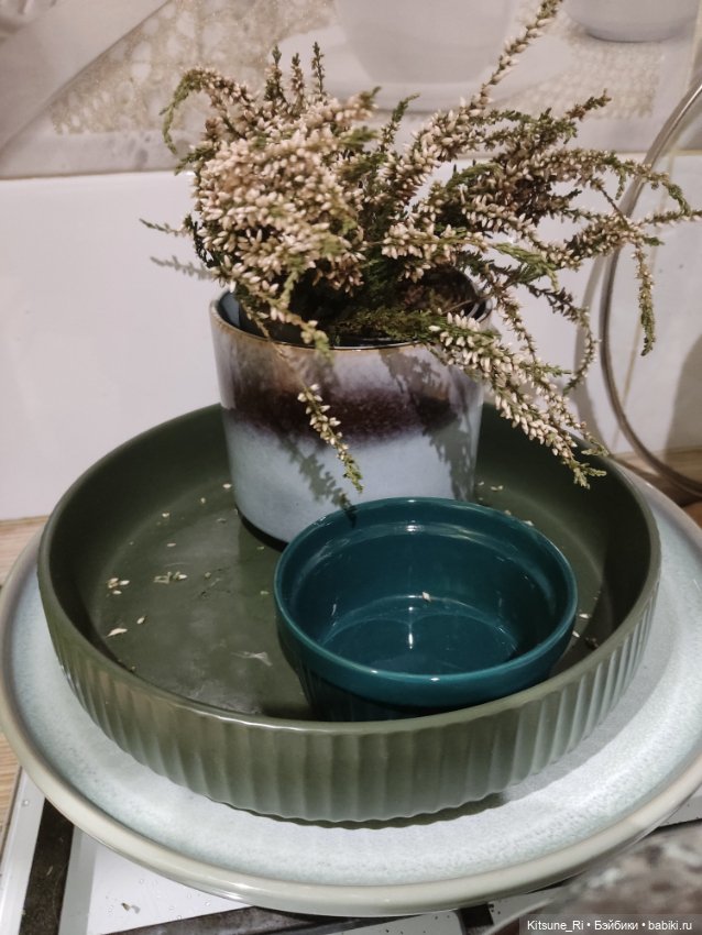 Трансплантация ноХ Rainbow High (фото 9)