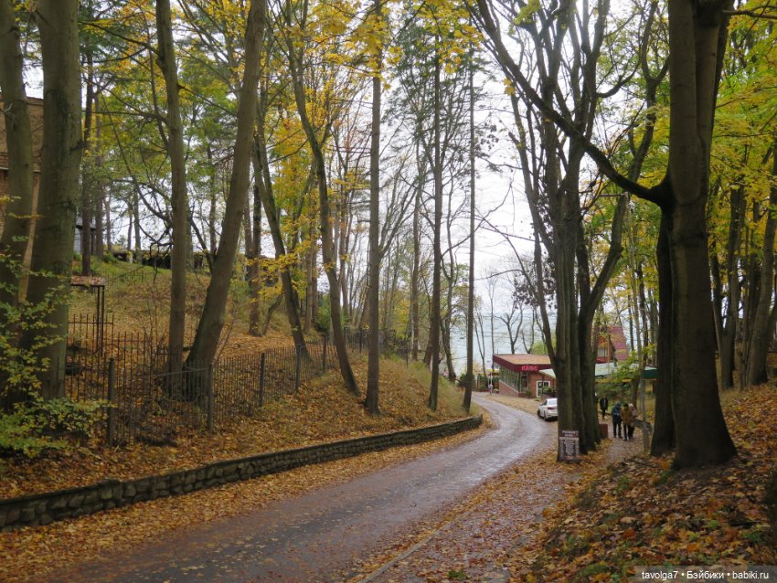 Trinity Dolls в Светлогорске в золотую осень