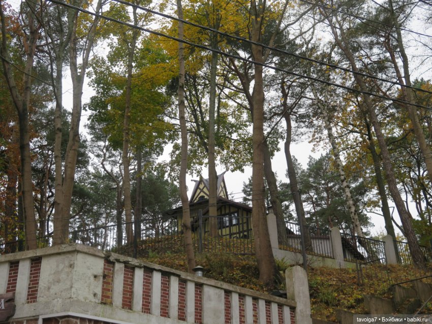 Trinity Dolls в Светлогорске в золотую осень