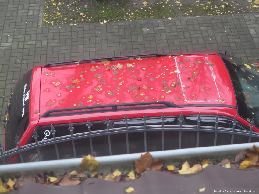 Trinity Dolls в Светлогорске в золотую осень (фото 2)