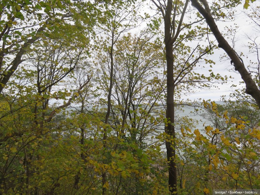 Trinity Dolls в Светлогорске в золотую осень