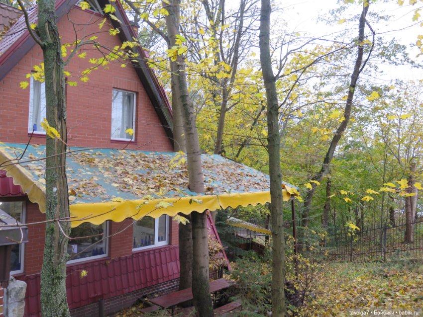 Trinity Dolls в Светлогорске в золотую осень