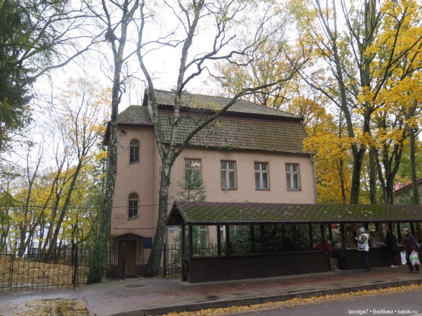 Trinity Dolls в Светлогорске в золотую осень (фото 3)