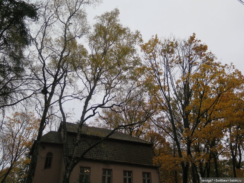 Trinity Dolls в Светлогорске в золотую осень (фото 4)